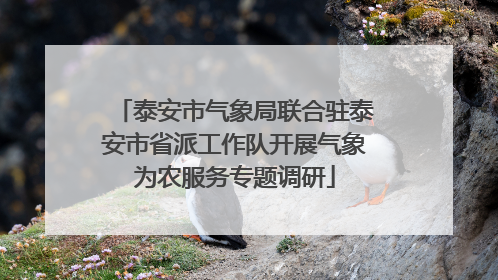 泰安市气象局联合驻泰安市省派工作队开展气象为农服务专题调研