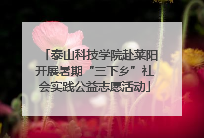 泰山科技学院赴莱阳开展暑期“三下乡”社会实践公益志愿活动