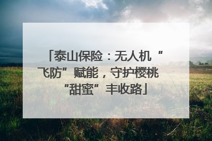 泰山保险：无人机“飞防”赋能，守护樱桃“甜蜜”丰收路