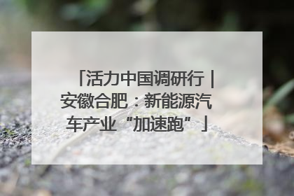 活力中国调研行｜安徽合肥：新能源汽车产业“加速跑”