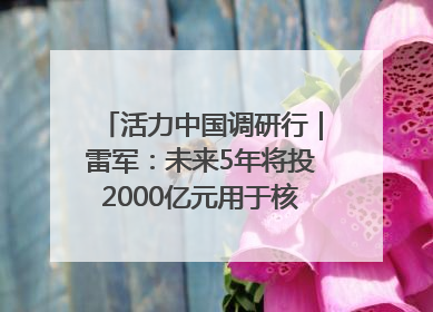活力中国调研行｜雷军：未来5年将投2000亿元用于核心技术研发