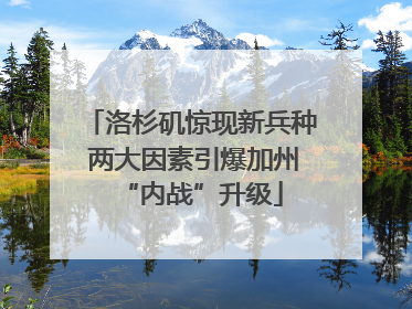 洛杉矶惊现新兵种 两大因素引爆加州“内战”升级