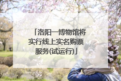 洛阳一博物馆将实行线上实名购票服务(试运行)