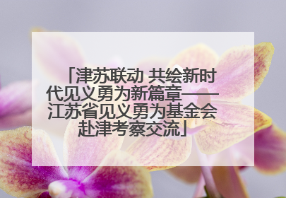 津苏联动 共绘新时代见义勇为新篇章——江苏省见义勇为基金会赴津考察交流