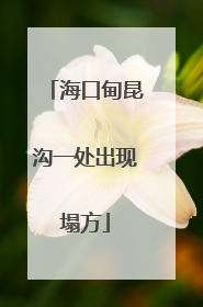 海口甸昆沟一处出现塌方