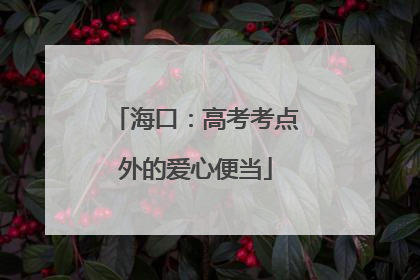 海口：高考考点外的爱心便当