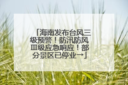 海南发布台风三级预警！防汛防风Ⅲ级应急响应！部分景区已停业→