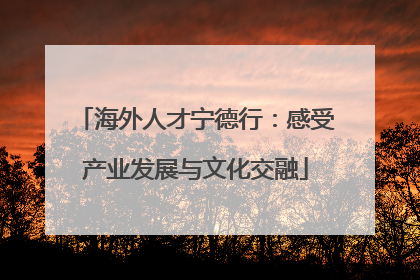海外人才宁德行：感受产业发展与文化交融
