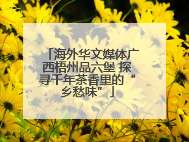 海外华文媒体广西梧州品六堡 探寻千年茶香里的“乡愁味”