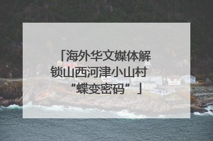 海外华文媒体解锁山西河津小山村“蝶变密码”