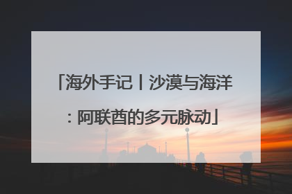 海外手记丨沙漠与海洋：阿联酋的多元脉动