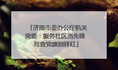 济南市委办公厅机关党委：服务社区当先锋 督查党旗别样红