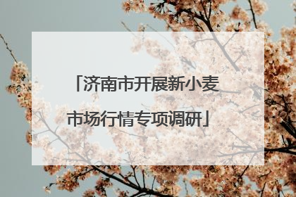 济南市开展新小麦市场行情专项调研