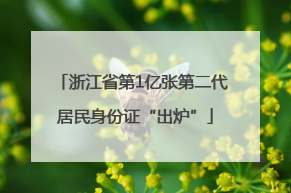 浙江省第1亿张第二代居民身份证“出炉”