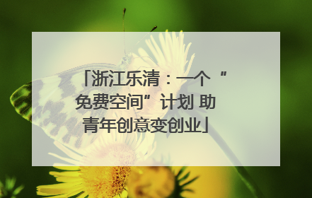 浙江乐清：一个“免费空间”计划 助青年创意变创业