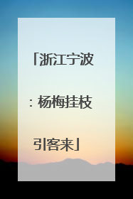 浙江宁波：杨梅挂枝引客来