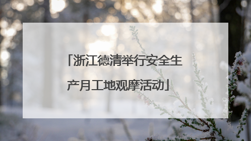 浙江德清举行安全生产月工地观摩活动