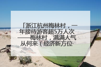 浙江杭州梅林村，一年接待游客超5万人次——梅林村，满满人气从何来（经济新方位·农村消费观察）