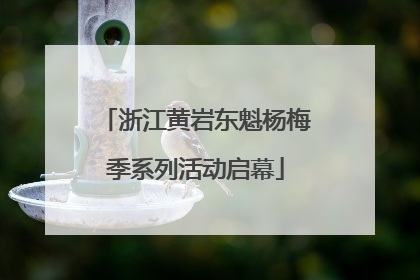 浙江黄岩东魁杨梅季系列活动启幕