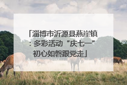 淄博市沂源县燕崖镇：多彩活动“庆七一” 初心如磐跟党走