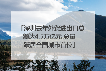 深圳去年外贸进出口总额达4.5万亿元 总量跃居全国城市首位