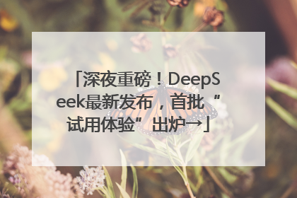 深夜重磅！DeepSeek最新发布，首批“试用体验”出炉→