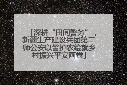 深耕“田间警务”，新疆生产建设兵团第二师公安以警护农绘就乡村振兴平安画卷