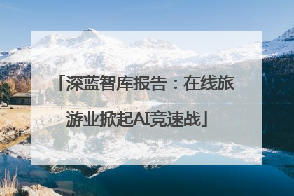 深蓝智库报告：在线旅游业掀起AI竞速战