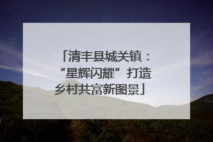 清丰县城关镇：“星辉闪耀”打造乡村共富新图景