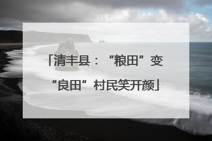 清丰县：“粮田”变“良田”村民笑开颜