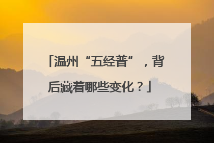 温州“五经普”，背后藏着哪些变化？