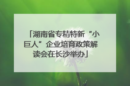 湖南省专精特新“小巨人”企业培育政策解读会在长沙举办