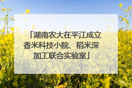 湖南农大在平江成立香米科技小院、稻米深加工联合实验室