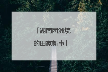 湖南团洲垸的田家新事