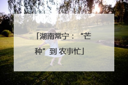 湖南常宁：“芒种”到 农事忙