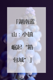 湖南蓝山：小镇崛起“箱包城”