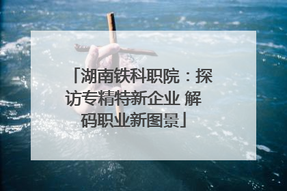 湖南铁科职院：探访专精特新企业 解码职业新图景