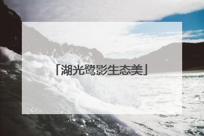湖光鹭影生态美