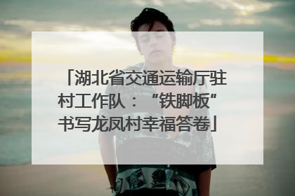 湖北省交通运输厅驻村工作队：“铁脚板”书写龙凤村幸福答卷
