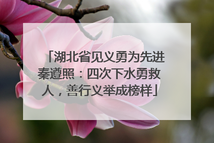 湖北省见义勇为先进秦遵照：四次下水勇救人，善行义举成榜样