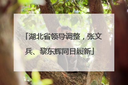 湖北省领导调整，张文兵、黎东辉同日履新