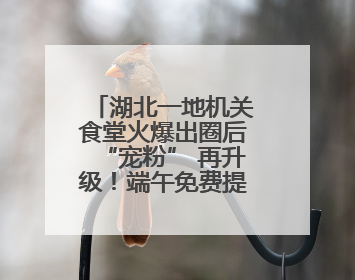 湖北一地机关食堂火爆出圈后“宠粉” 再升级！端午免费提供粽子盐蛋，部分人可八折