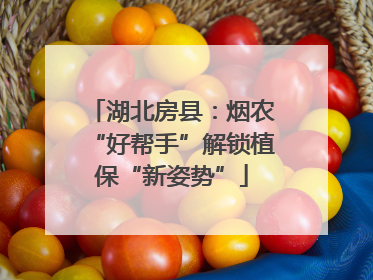 湖北房县：烟农“好帮手”解锁植保“新姿势”