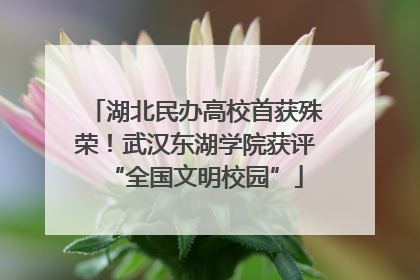 湖北民办高校首获殊荣！武汉东湖学院获评“全国文明校园”