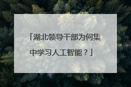湖北领导干部为何集中学习人工智能？