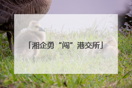 湘企勇“闯”港交所