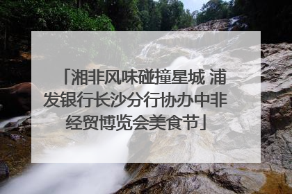湘非风味碰撞星城 浦发银行长沙分行协办中非经贸博览会美食节