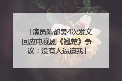 演员陈都灵4次发文回应电视剧《翘楚》争议：没有人逼迫我