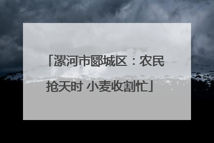 漯河市郾城区：农民抢天时 小麦收割忙