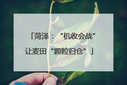 菏泽：“机收会战”让麦田“颗粒归仓”